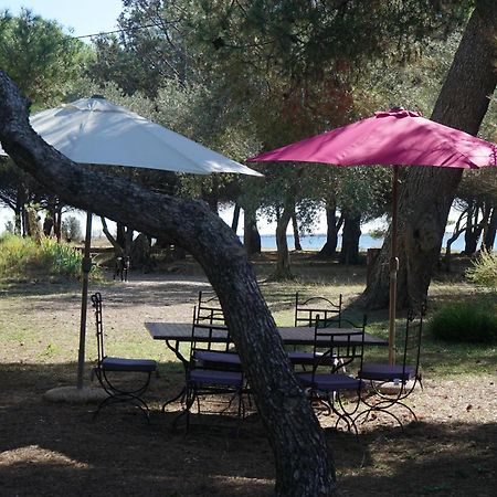 Joli Mas Au Bord De L'Etang De Thau Villa Marseillan  Dış mekan fotoğraf