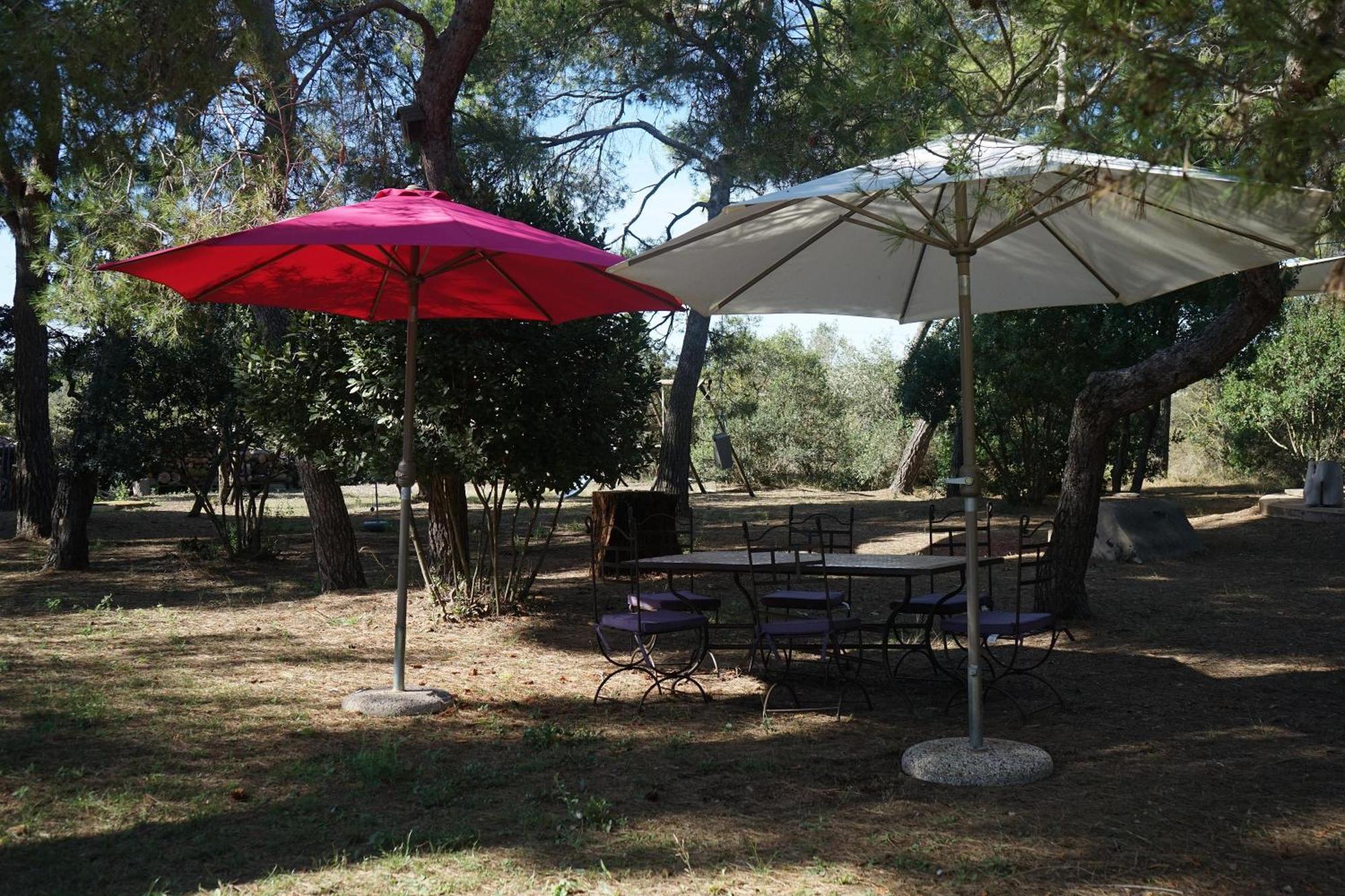 Joli Mas Au Bord De L'Etang De Thau Villa Marseillan  Dış mekan fotoğraf